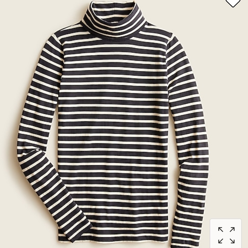 J. Crew Striped Turtleneck